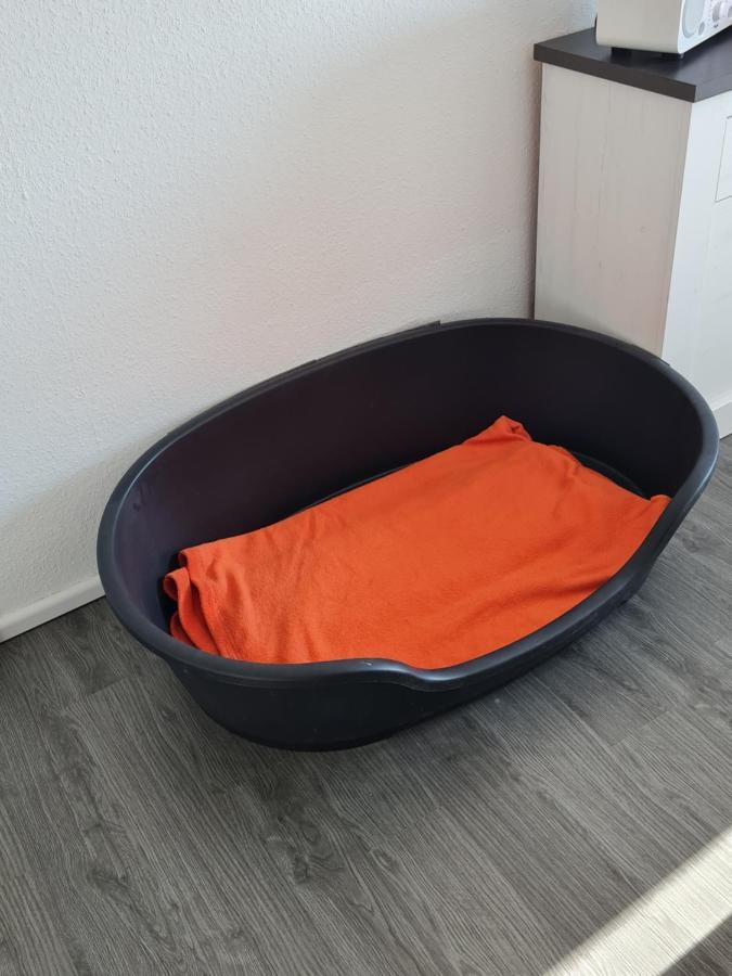 Ferienwohnung Annett & Matthias Hahnenklee กอสลาร์ ภายนอก รูปภาพ